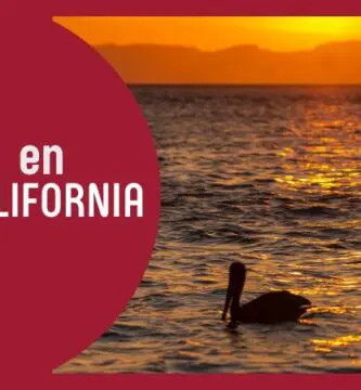 moteles baja california sur