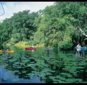paisaje turistico en candelaria campeche Mejores Moteles En Candelaria