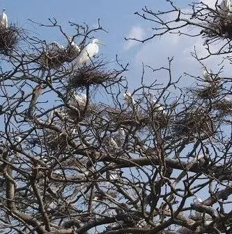 paisaje turistico en cintalapa de figueroa chiapas Mejores Moteles En Cintalapa De Figueroa