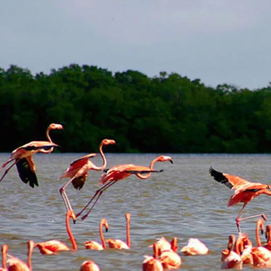 Mejores Moteles En Hecelchakán