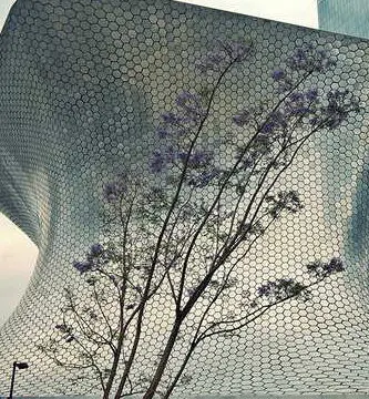 paisaje turistico en miguel hidalgo ciudad de mexico Mejores Moteles En Miguel Hidalgo