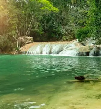 Mejores Moteles En Palenque 36 paisaje turistico en palenque chiapas 1 Mejores Moteles En Palenque